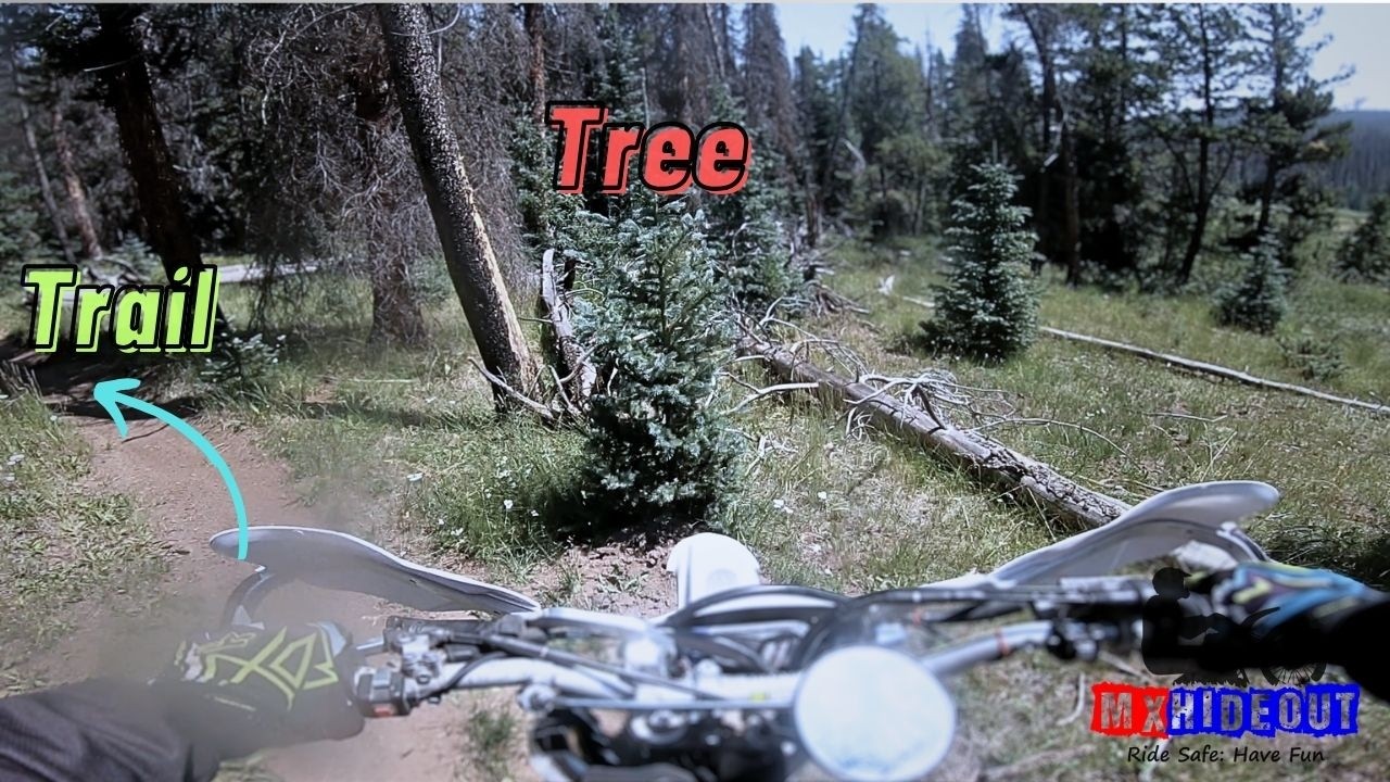 Why Woods Riders OVERSHOOT Turns & Smash Into Trees...