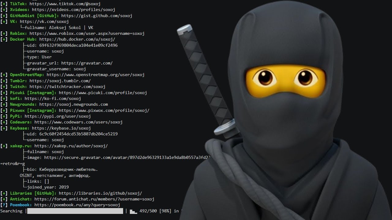 Maigret: Das Hacker-Tool, das dich im Netz aufsp&uuml;rt! I HoodCoding#16