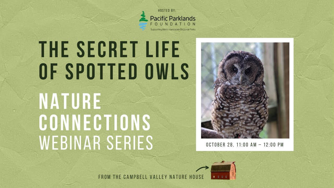 The Secret Life of Spotted Owls | Nature Connections Webinar Series