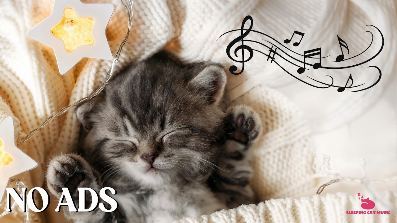 Healing Cat Music 🐾 Natural Sounds for Pet Relaxation and Deep Night Recovery From Daily Stress