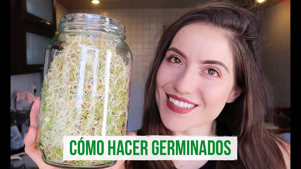 CÓMO HACER BROTES DE LENTEJA Y QUINOA EN CASA 🌱
