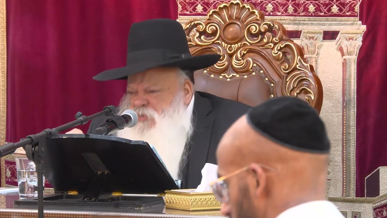 האדם העץ ומה שביניהם | הרב דניאל זר