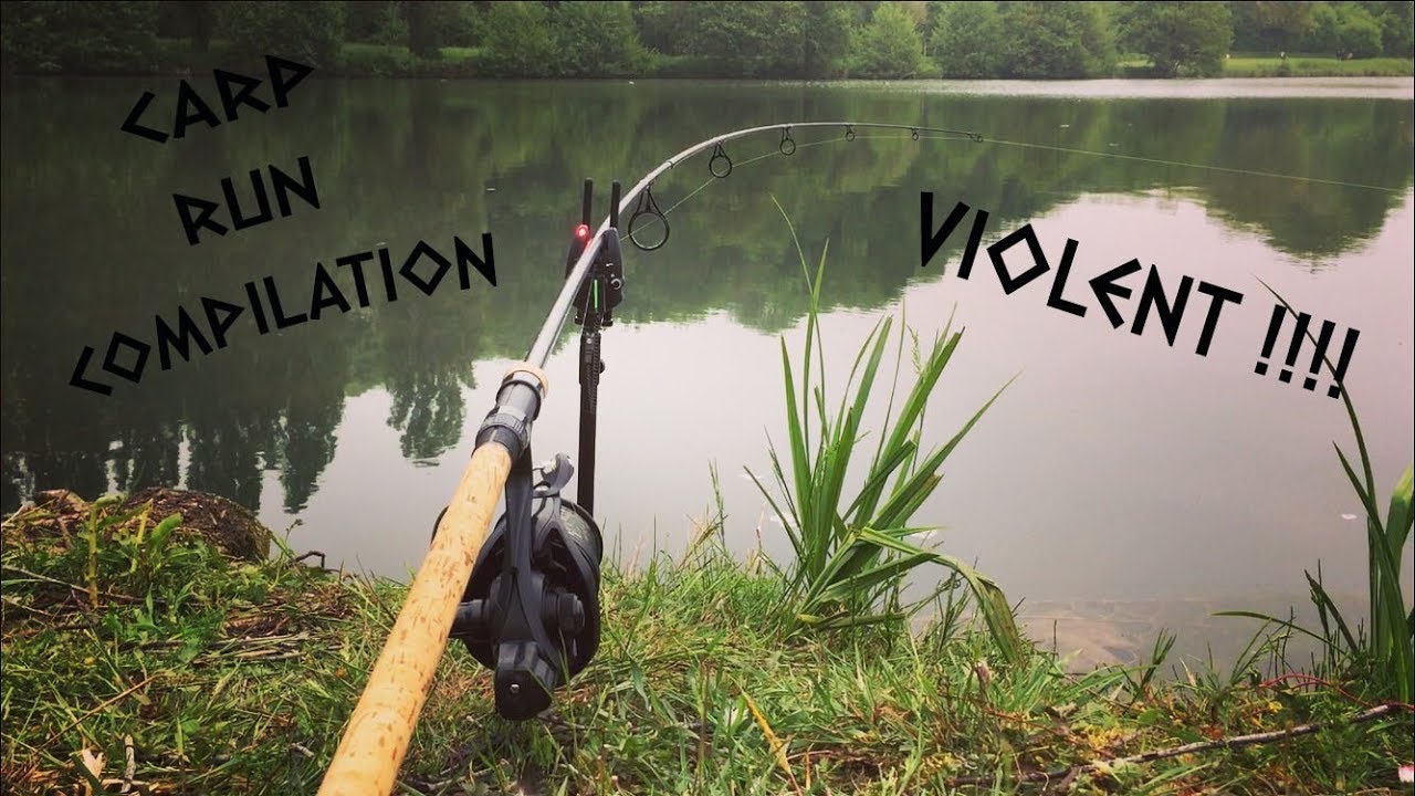 Carp Run COMPILATION - départs en direct 100% VIOLENT !