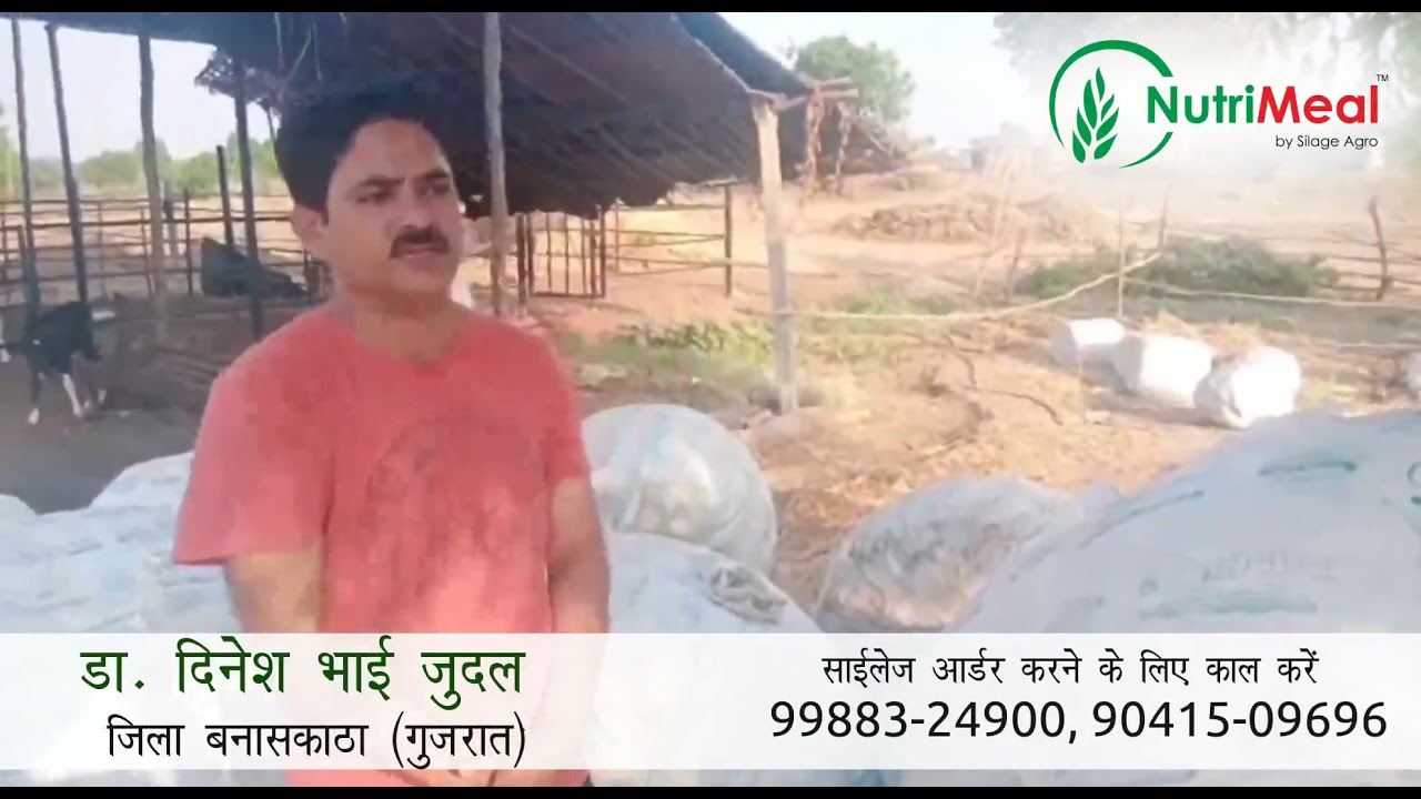 NutriMeal Silage | Gujarat