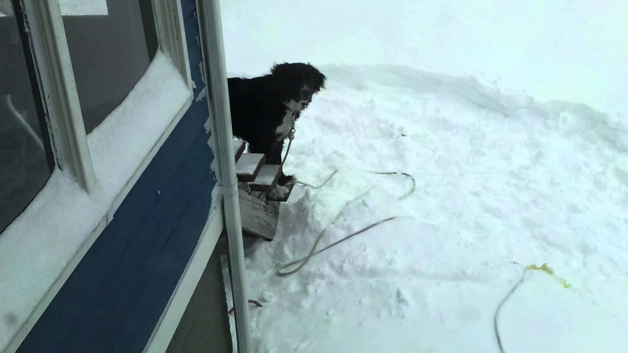 February 8, 2013 Snowstorm