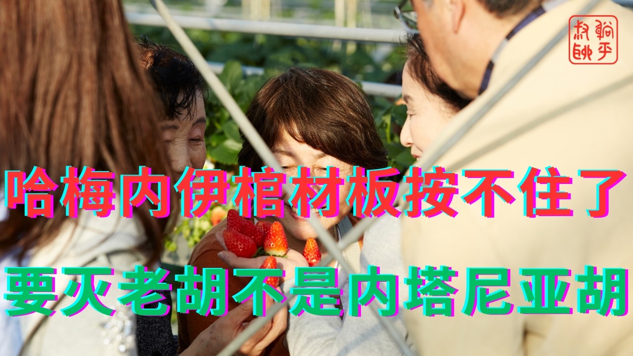 哈梅内伊棺材板按不住了||要灭老胡不是内塔尼亚胡