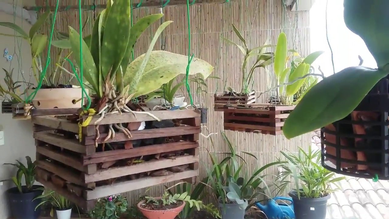 FIZ MEU ORQUÍDARIO NA MINHA VARANDA... faça o seu tambem!!!