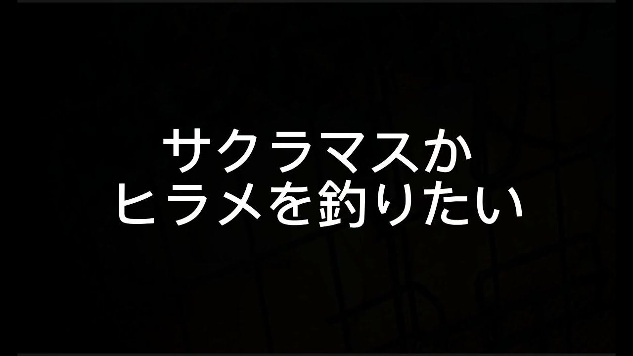 2022-5-31 毘砂別サーフの釣り
