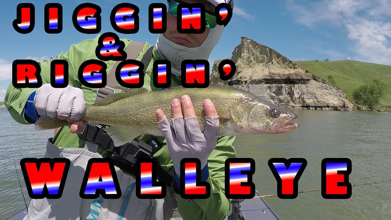 Jiggin' and Riggin' Walleye ( Lake Sakakawea July 2018)