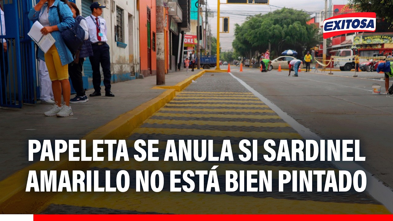🔴🔵 ¡Atención, conductor! Si el sardinel no está pintado de amarillo, la papeleta es nula