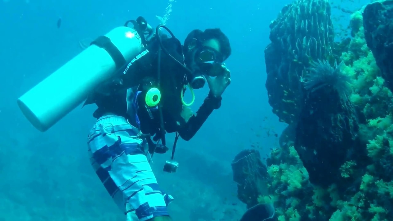 SCUBA Diving In The Andamans - Havelock Island - Dixons Pinnacle pt2