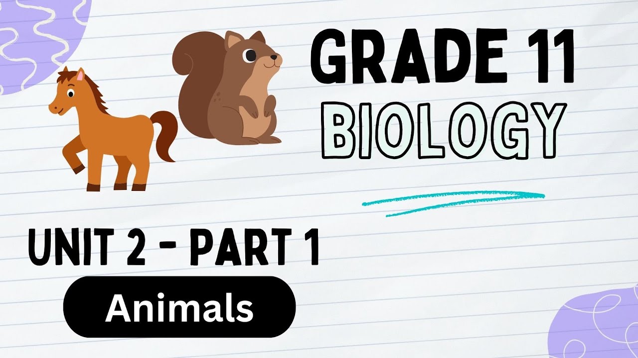Grade 11 Biology unit 2 part 1 Animals