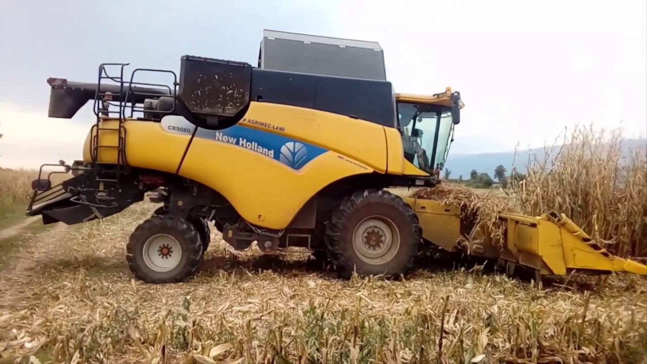 Trebbiatura mais 2017 | New Holland CR9080 | f.lli Ganassin