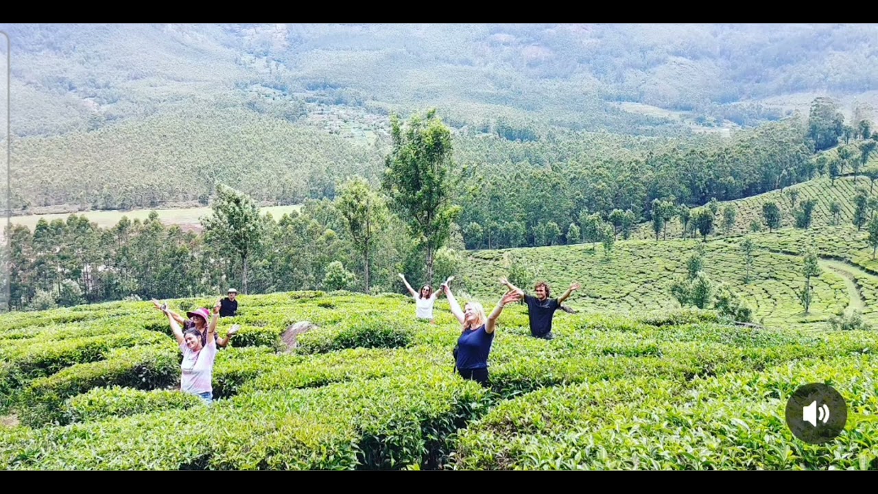 Munnar Greatthink Adventures 🎀✨️ Trekking,Off road,Jeep safari📌