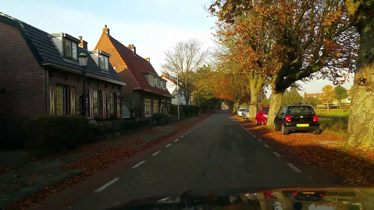 Vogelenzang in herfsttinten, deel 4.