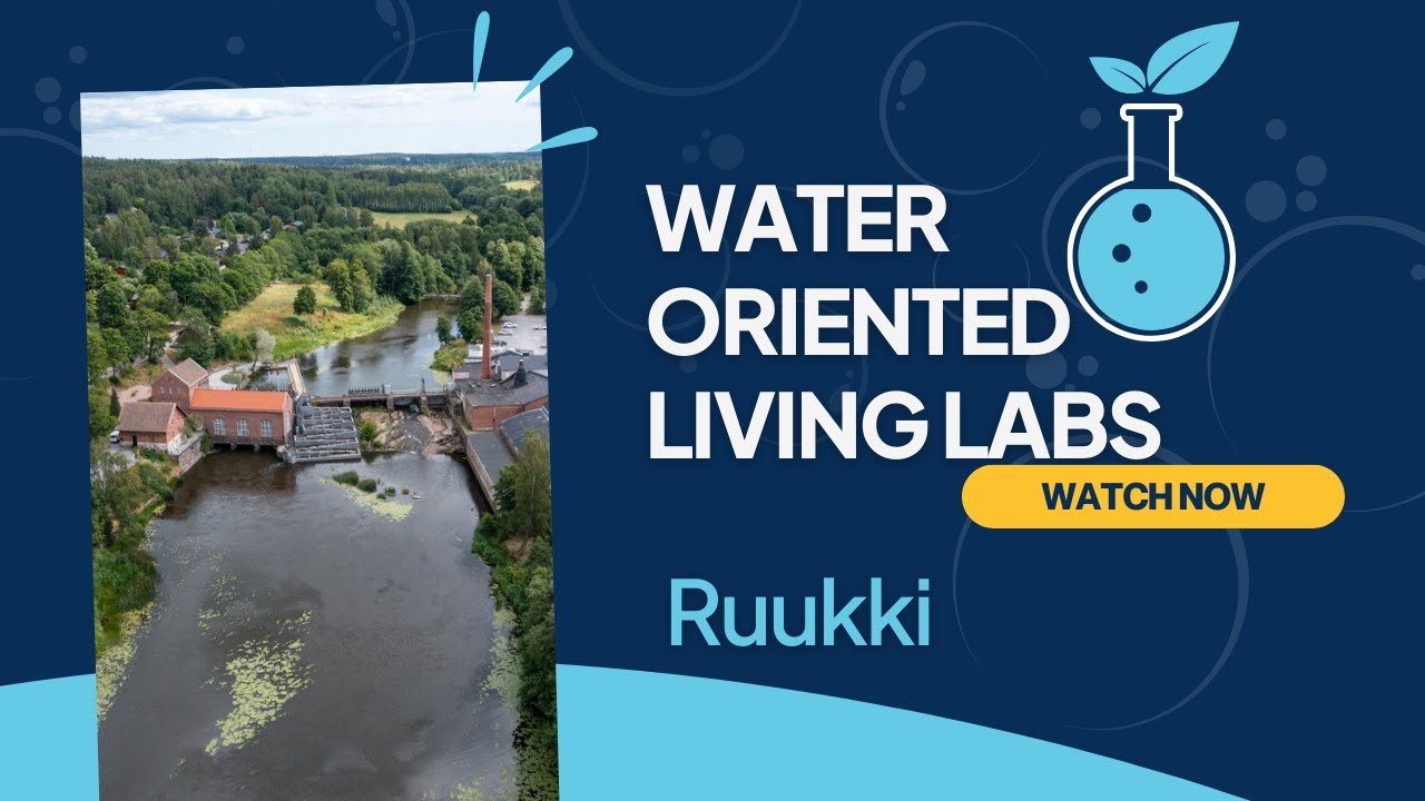Sustainable Water Solutions for Peatlands: Inside Finland&rsquo;s Ruukki Living Lab