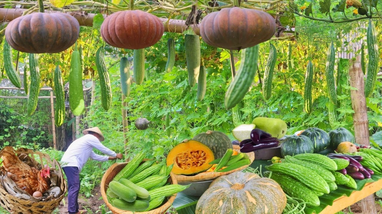 Vegetable Overload! My Garden is Overflowing with Homegrown Vegetables - an Ultimate Bounty!