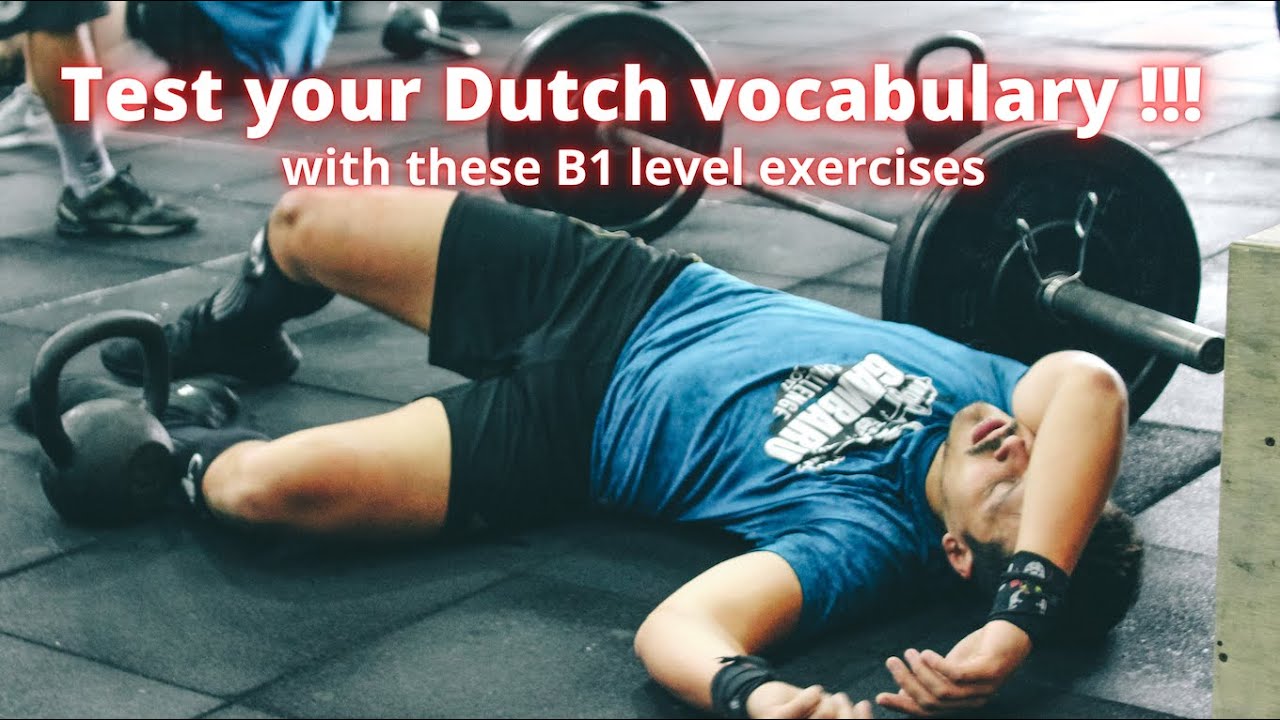 Test your Dutch B1 Vocabulary ! Are you ready for the B1 level ???