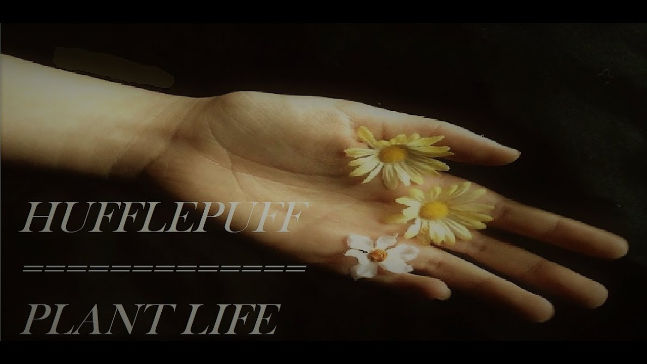 Hufflepuff House- Plant Life