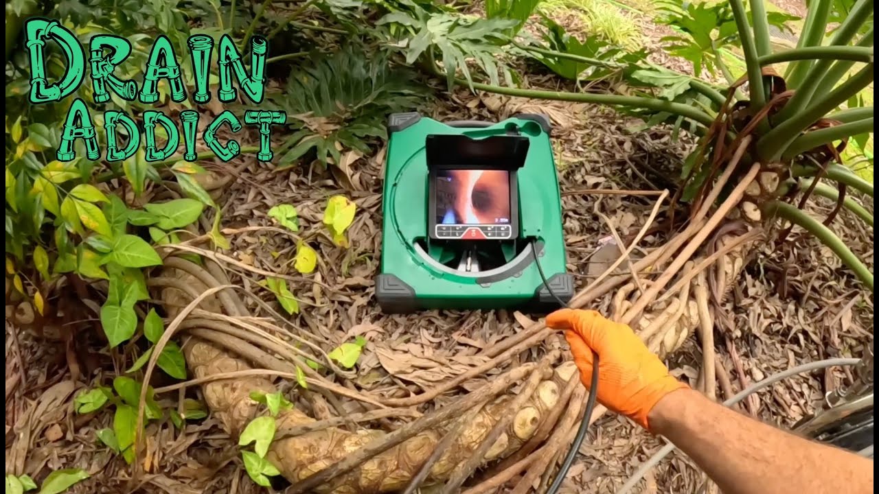 Засор канализации 1152