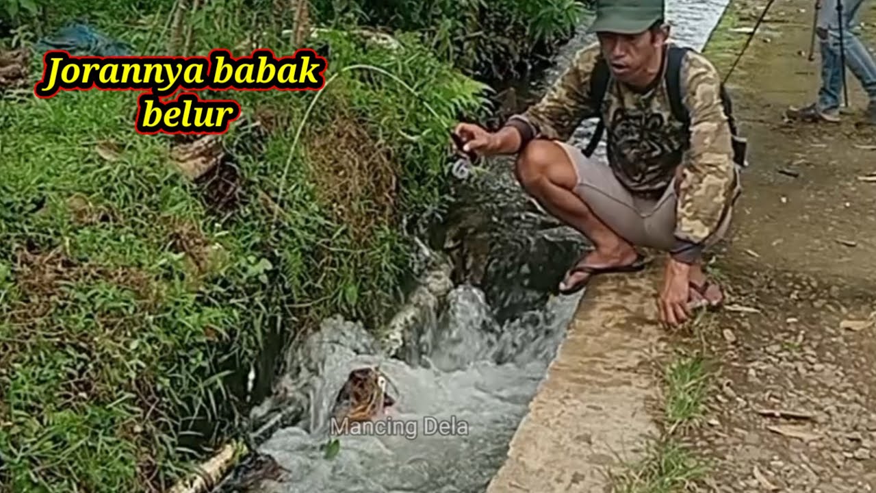 Selokan air deras tarikannya ganas