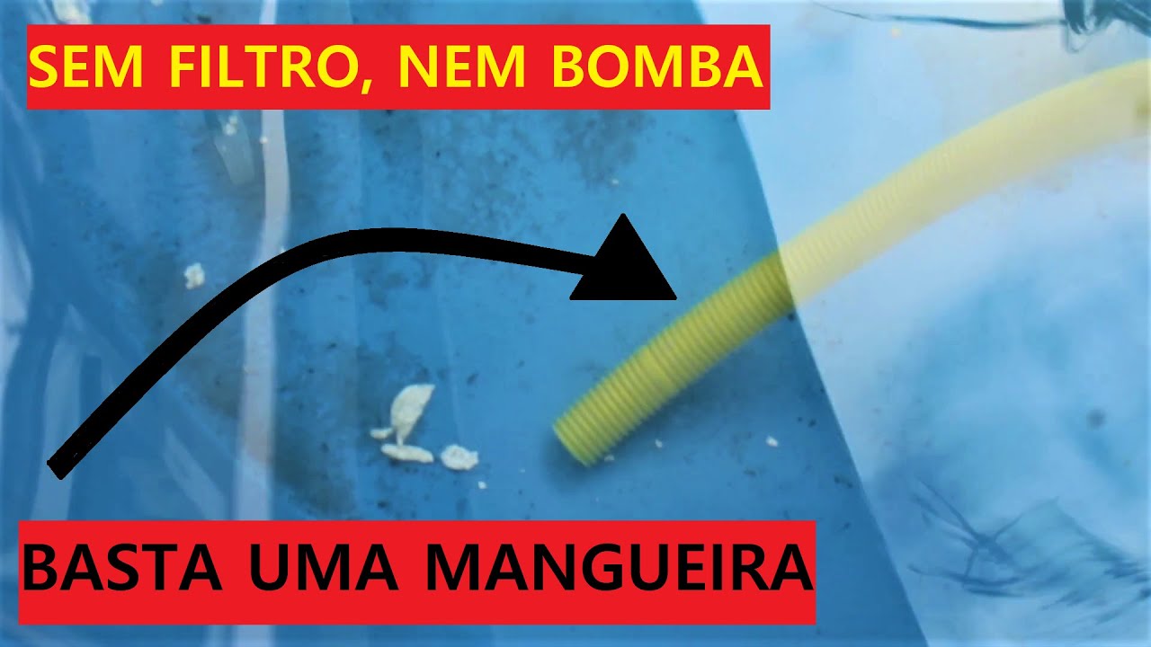 COMO LIMPAR PISCINA SEM MOTOR NEM FILTRO - LUANE ALMEIDA