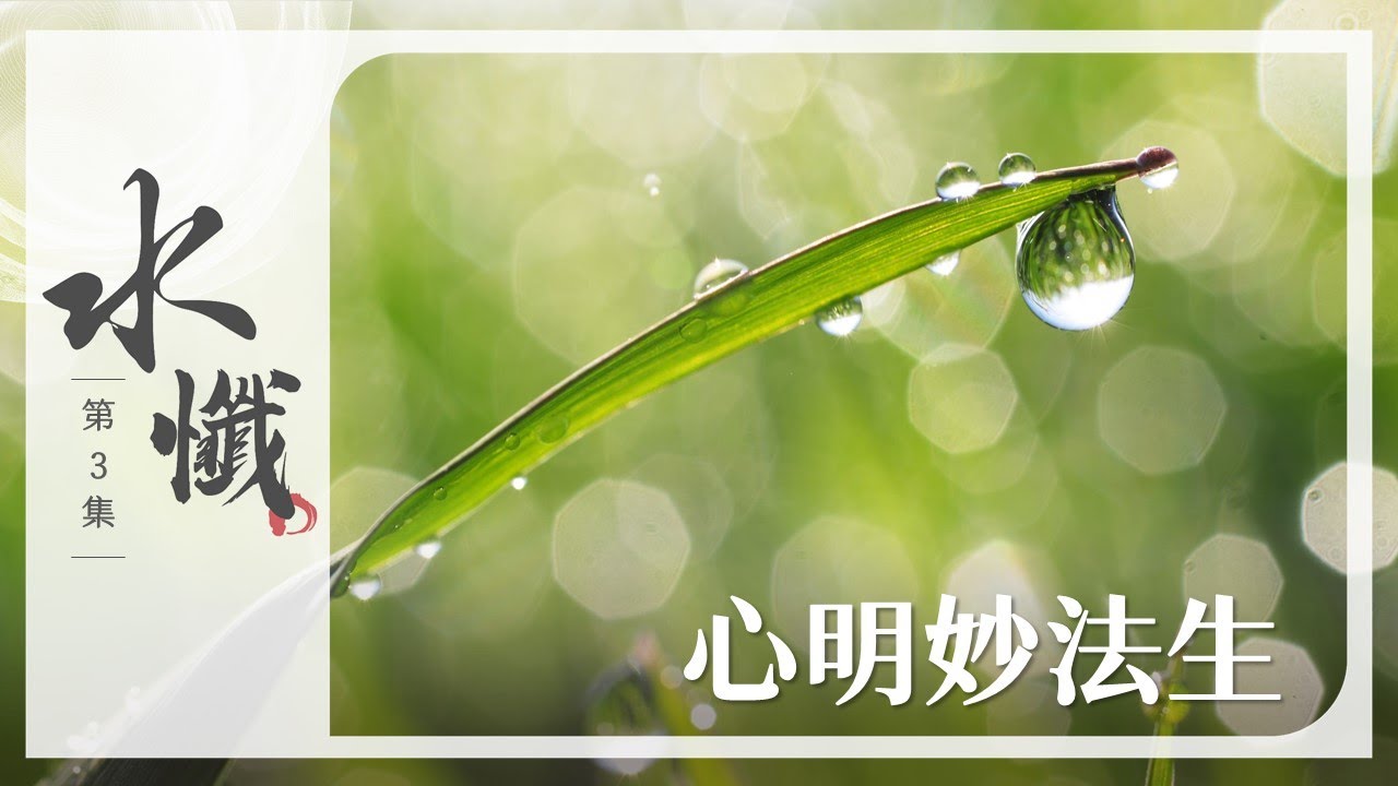 【法譬如水】 心明妙法生 - 第3集｜水懺｜慈悲三昧水懺｜20250212