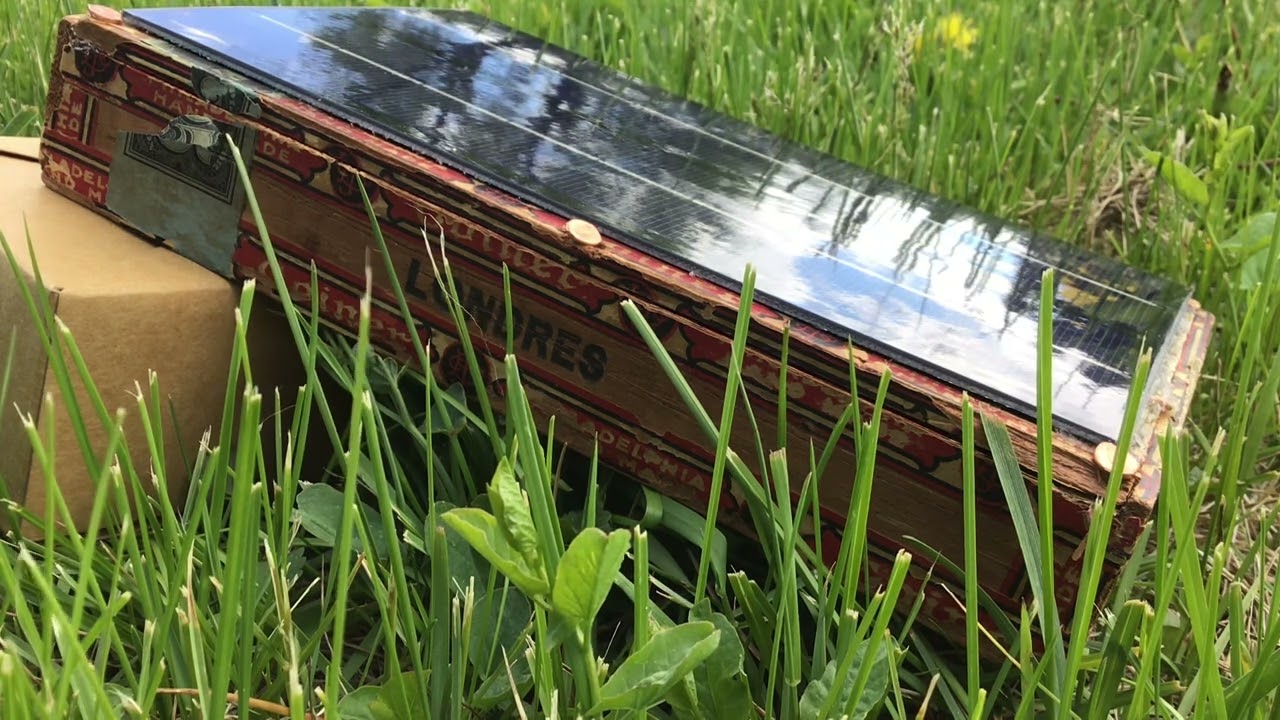 Mourning Dove - Solar Sounder - Peter Blasser - Ciat-Lonbarde