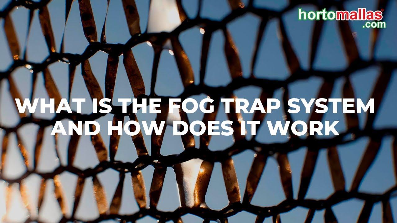 What is the fog trap system and how does it work