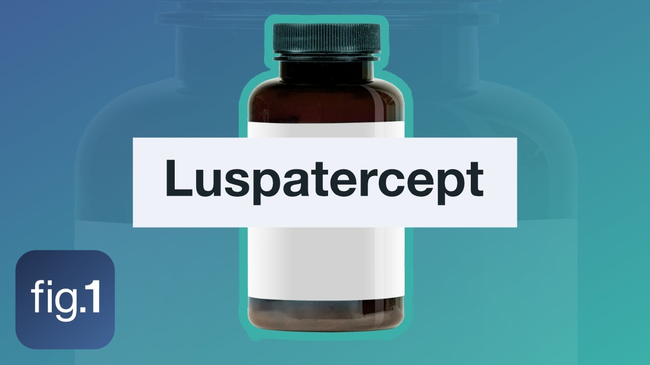 Does Luspatercept reduce blood transfusions in MDS patients?