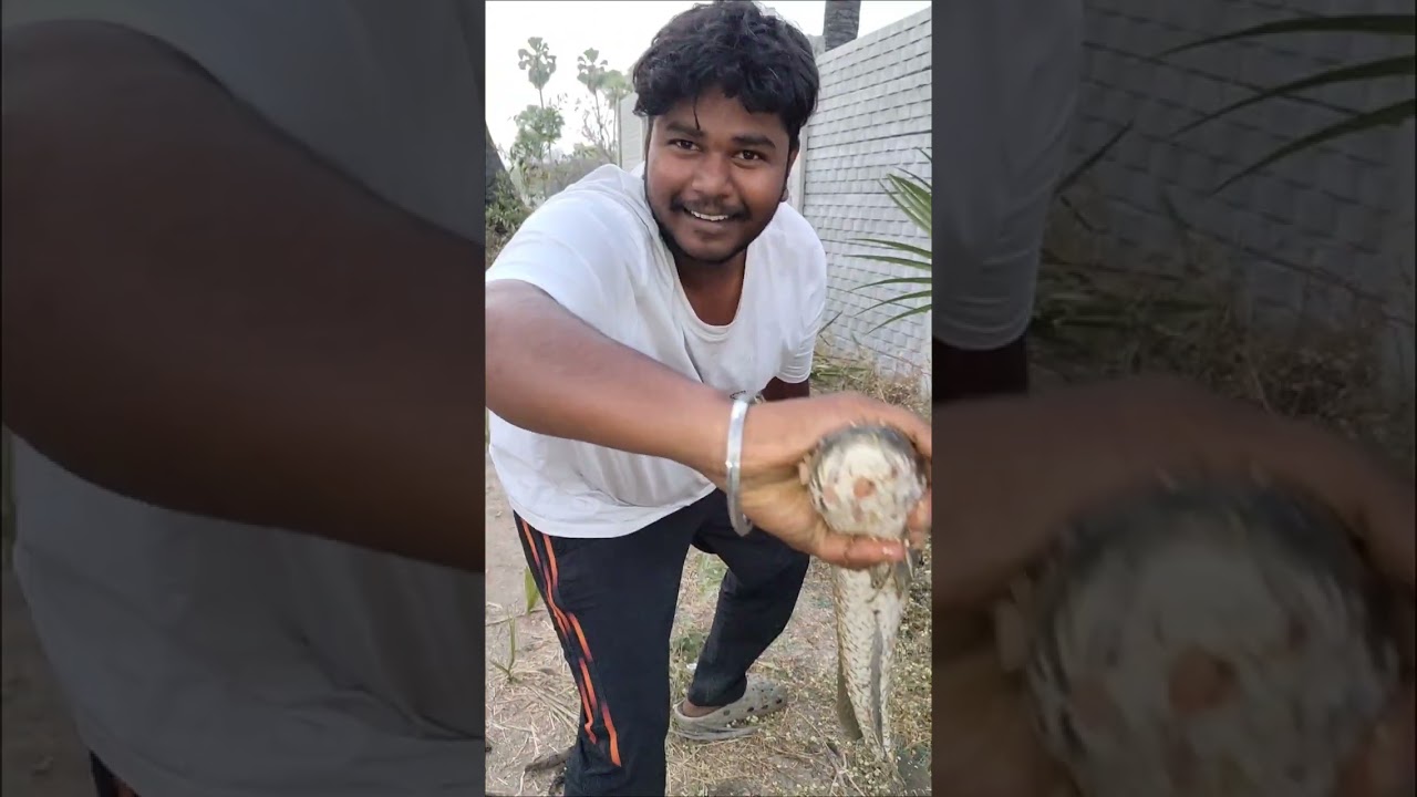 This is our first video 🐠please like share subscribe my channel guys #fishing #fish @chapala_shikari