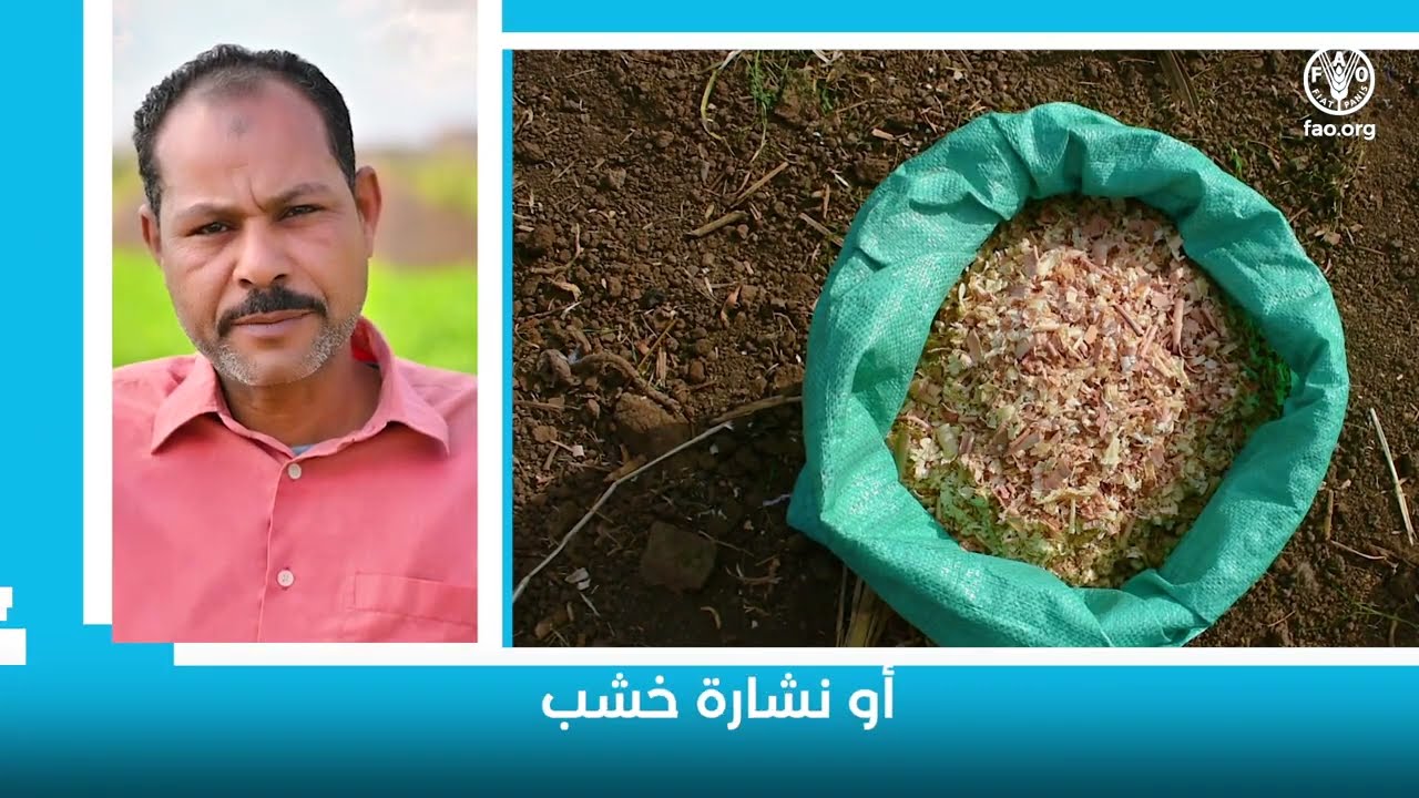 إنتاج أسمدة عضوية ذات جودة عالية من طيور متوفاة