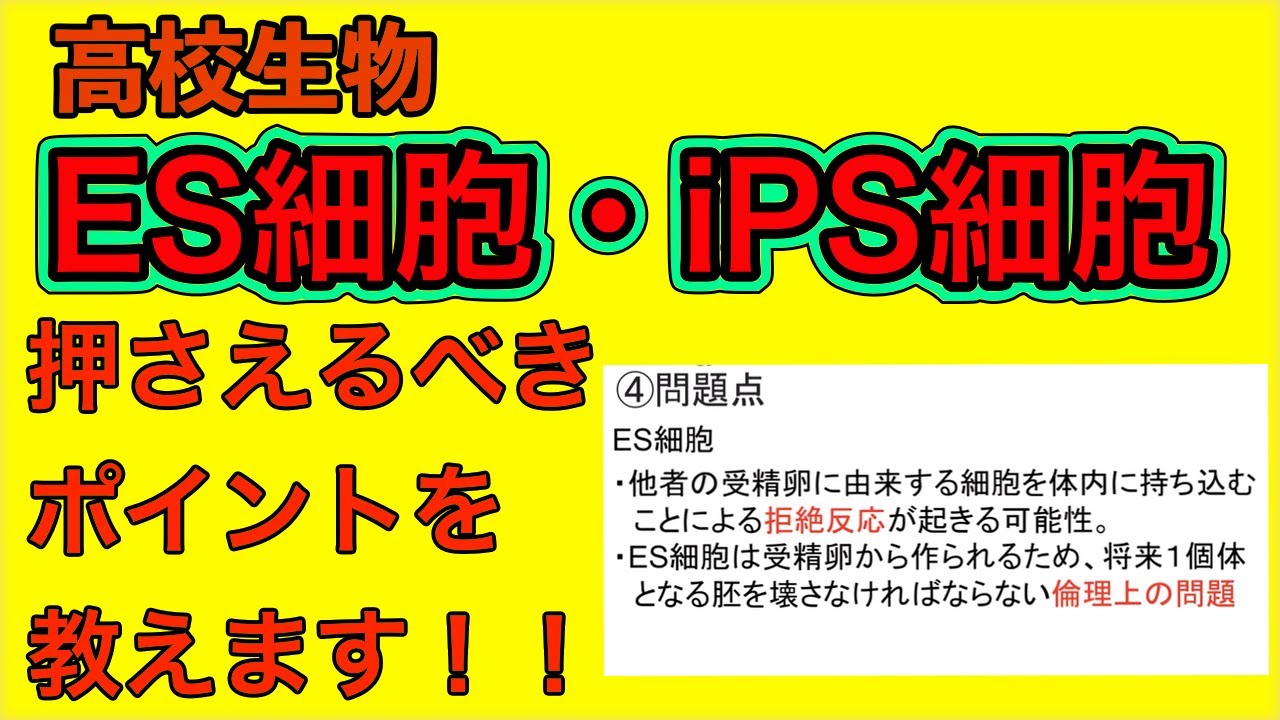 高校生物「ES細胞・iPS細胞」