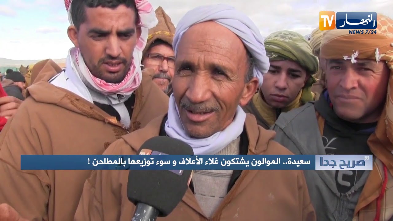 صريح جدا/ سعيدة.. الموالون يشتكون غلاء الأعلاف وسوء توزيعها بالمطاحن
