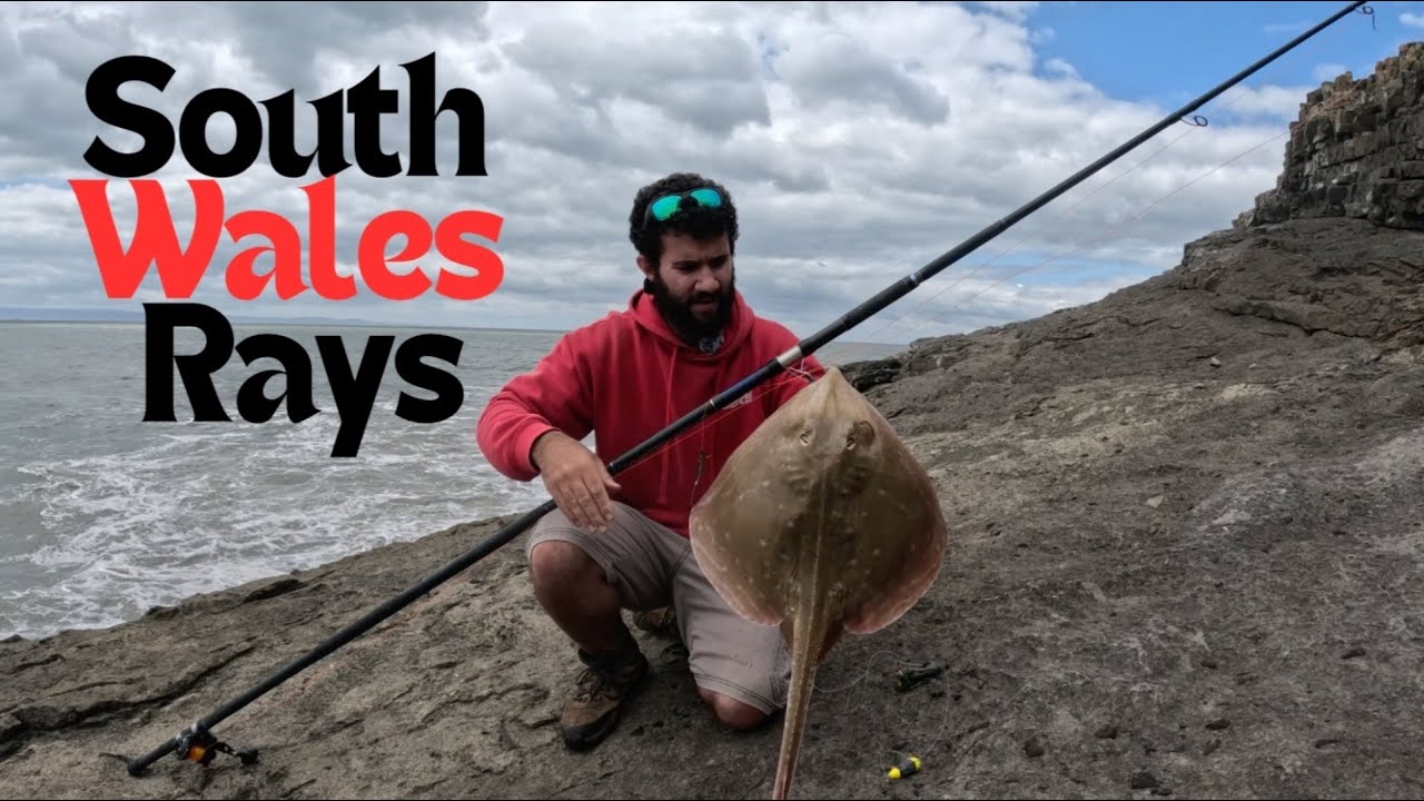 Fishing for ray in South Wales