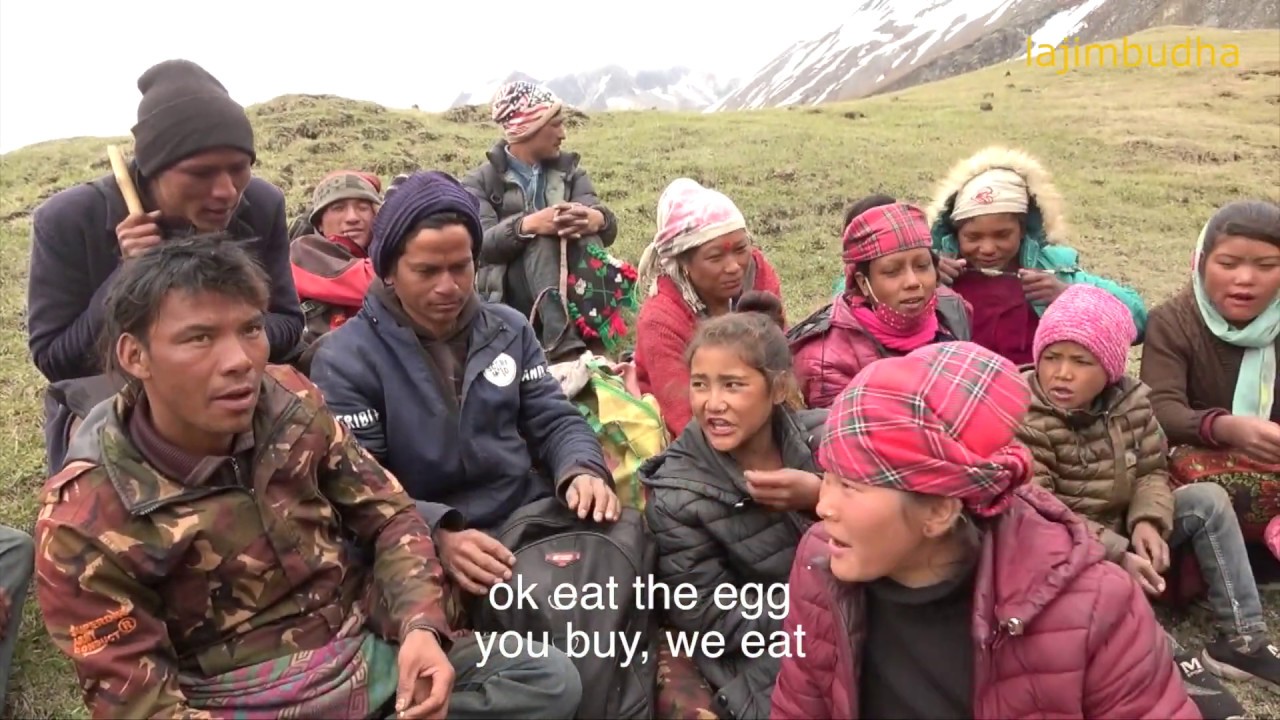 break fast time in the himalaya || yarsagumba || Nepal || dolpa || lajimbudha ||