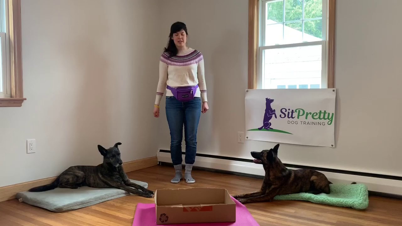 Enrichment Game: 101 Things to do with a Box