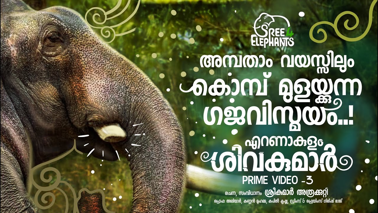 ഞാൻ എന്തു തെറ്റ് ചെയ്തിട്ടാ  ഇങ്ങനെ ഈ ക്രൂശിക്കൽ ...?  ഒരു ആനയ്ക്ക് മനുഷ്യരോട് ചോദിക്കാനുള്ളത്.
