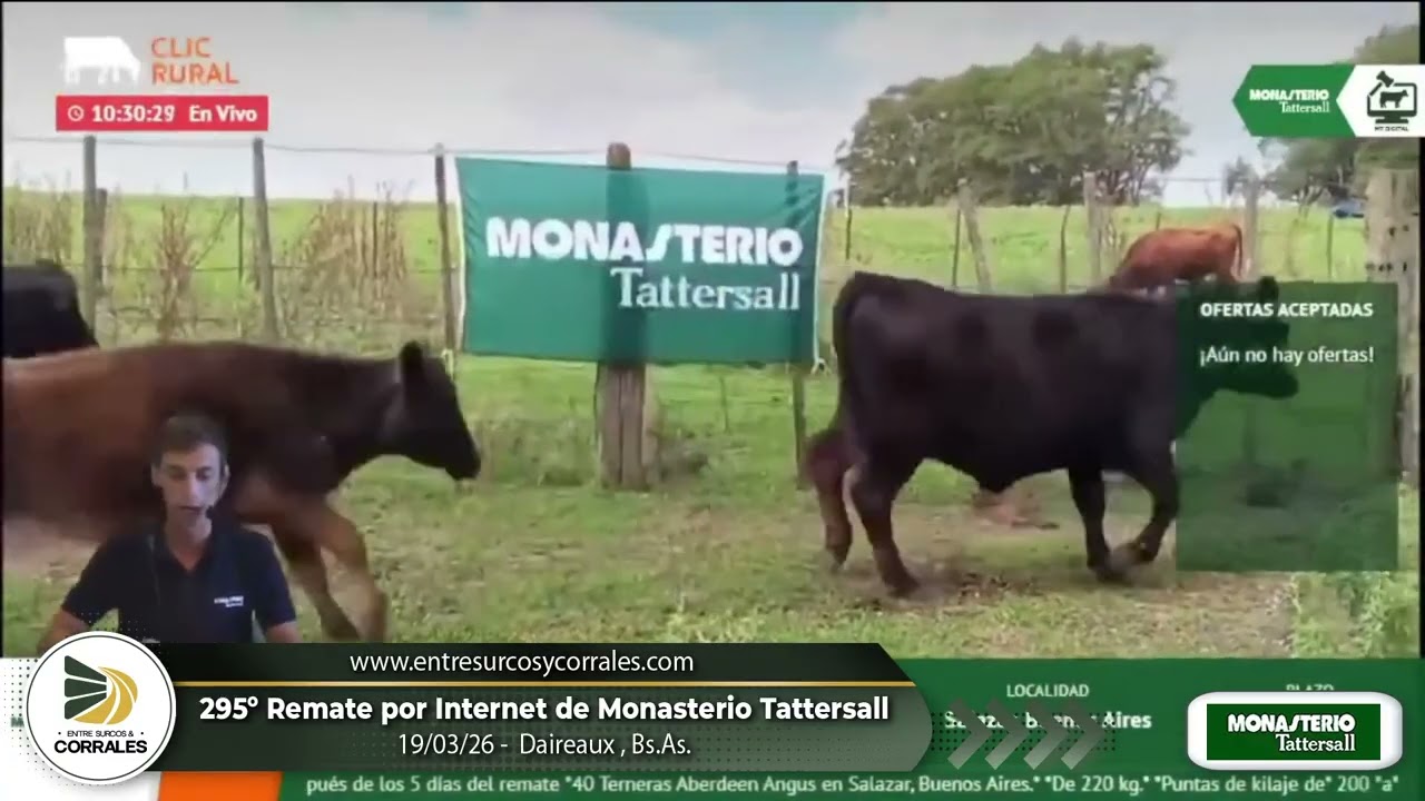 19-03-26 - 295º Remate por Internet de Monasterio Tattersall - Daireaux, Bs.As.