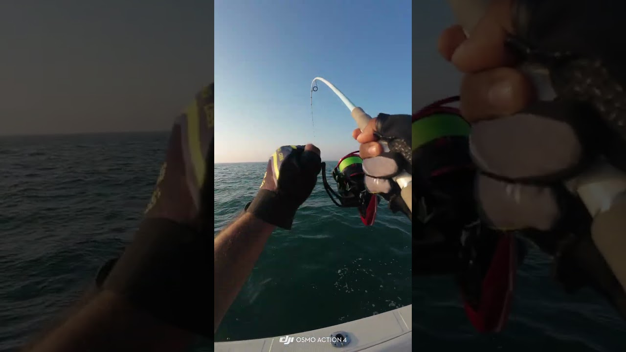 Hooked Sideways! Queenfish Goes Wild on 35g Tungsten Jig