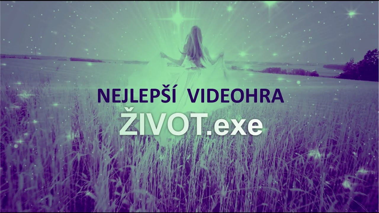 Život jako videohra