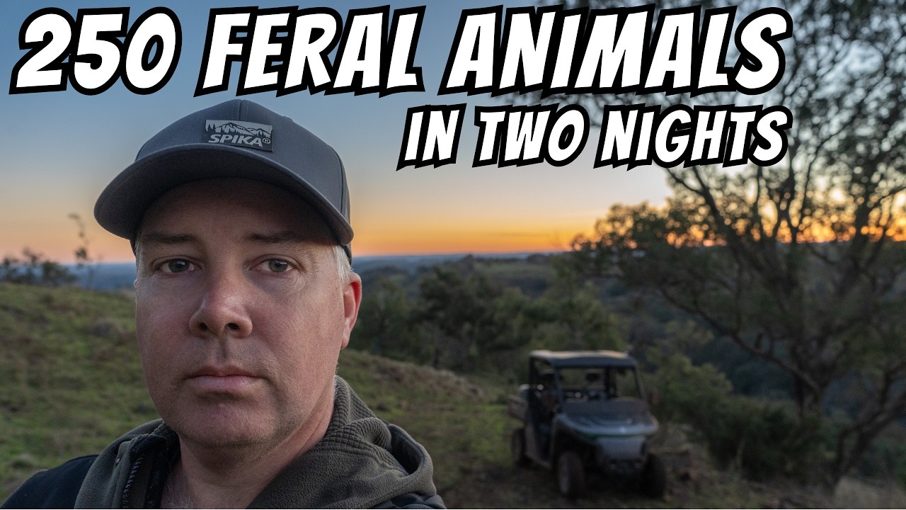 250 FERAL ANIMALS IN 2 NIGHTS | Thermal Pig, Deer & Fox Control