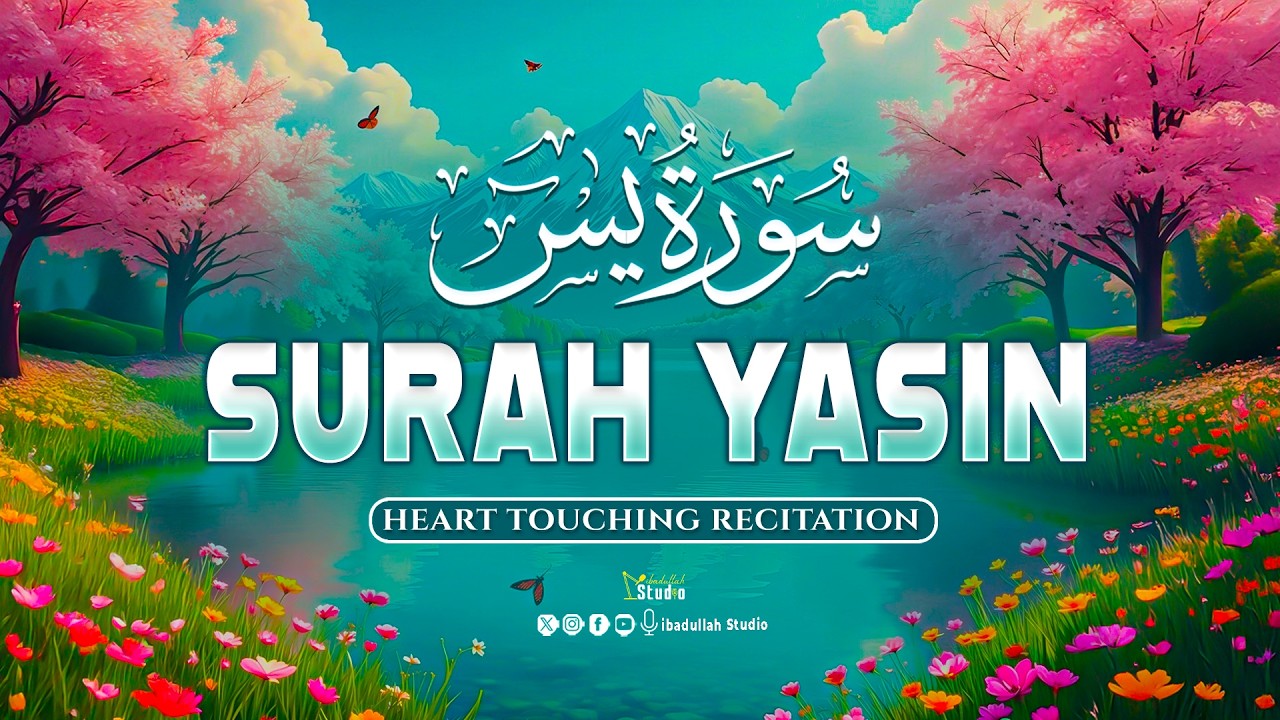 World's Most Ultimate Recitation of Surah Yasin سورة يس | Soothing Quran for Night Calm & Relaxation