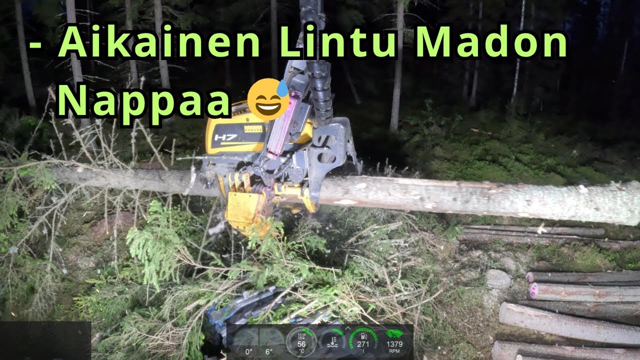 Pimeetä Hommaa Keskellä Kesää. Lahoja Kuusija Älyttömästi. VR5 Ponsse Scorpion K AC New H7 2025