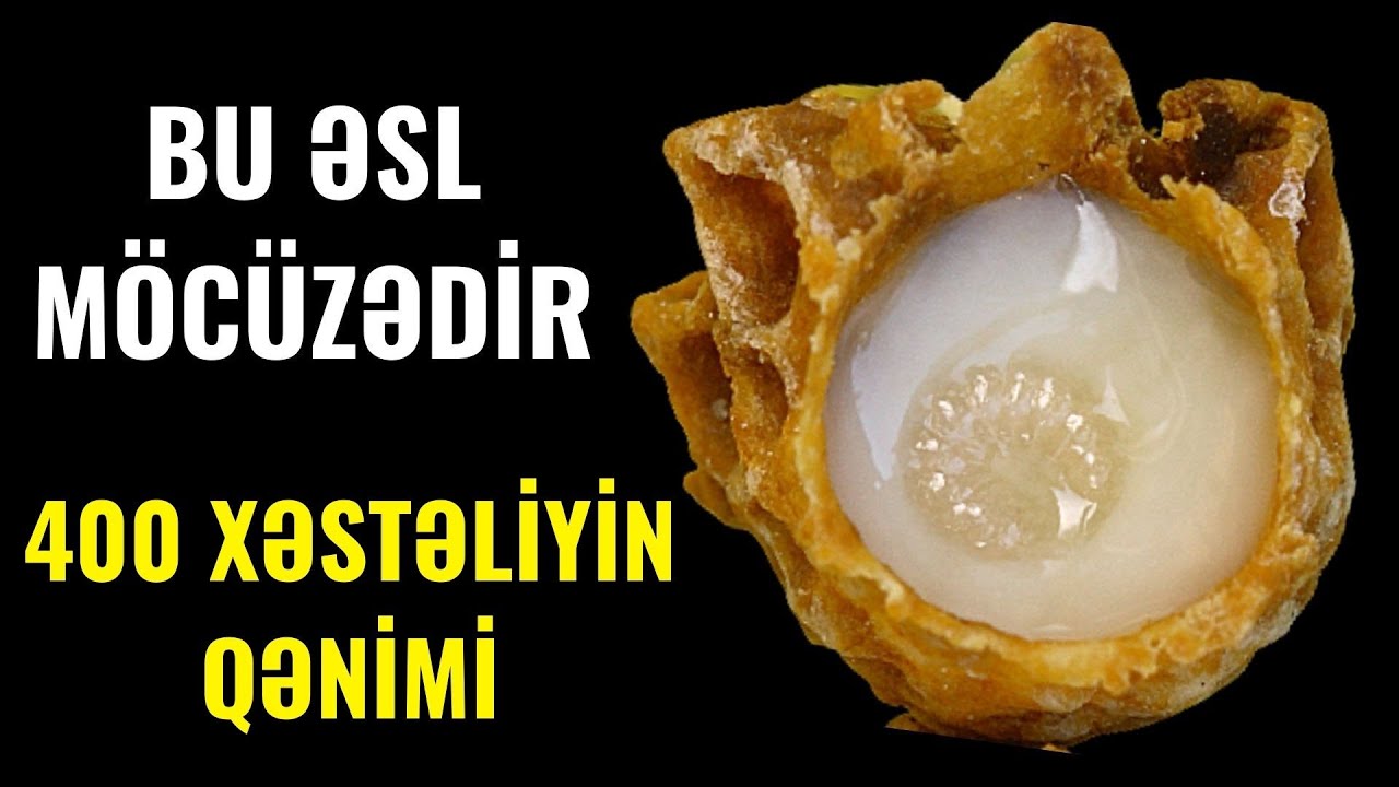 Faydalarını bilsəniz, mütləq istifadə edəcəksiz - Ölü yesə dirilər