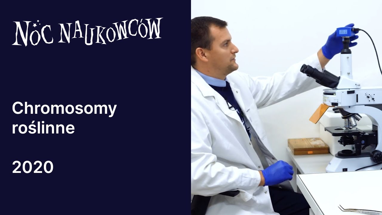 Chromosomy roślinne - prof. UPP dr hab. Michał Kwiatek