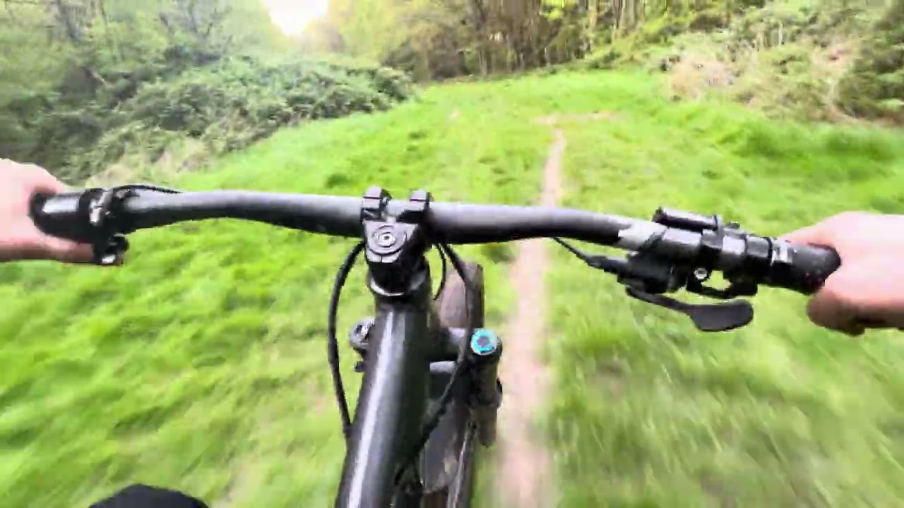 E-Bike Bafang BbsHD 52v + VESC / Flipsky 75100 pro v2.0 - Lost in the forest
