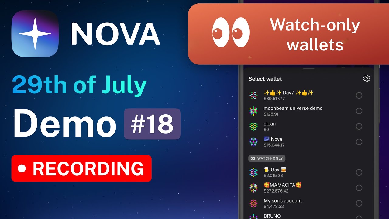 Nova Wallet Demo #18 Watch-only wallets for Polkadot & Dotsama ecosystem, Community Features