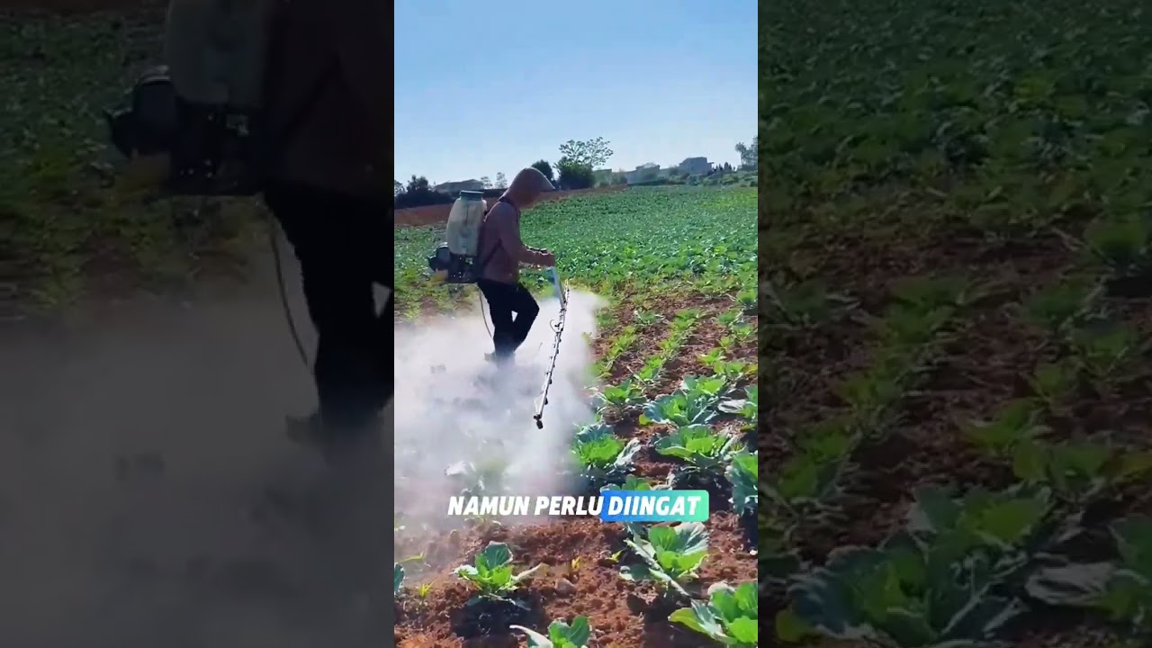 seprayer super #shortvideo