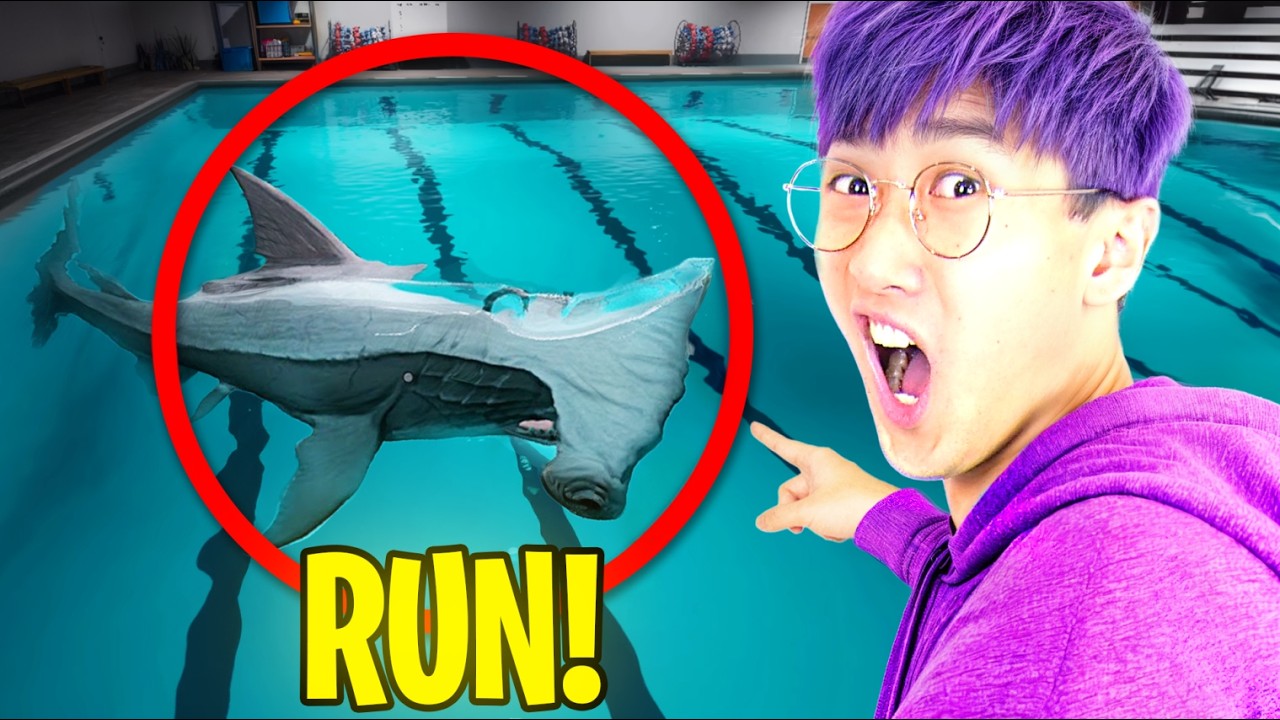 В БАССЕЙНЕ АКУЛА?! (LANKYBOX ИГРАЕТ В SHARKS AND MINNOWS!)